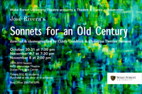 Sonnets for an Old Century